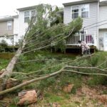 tree down over building